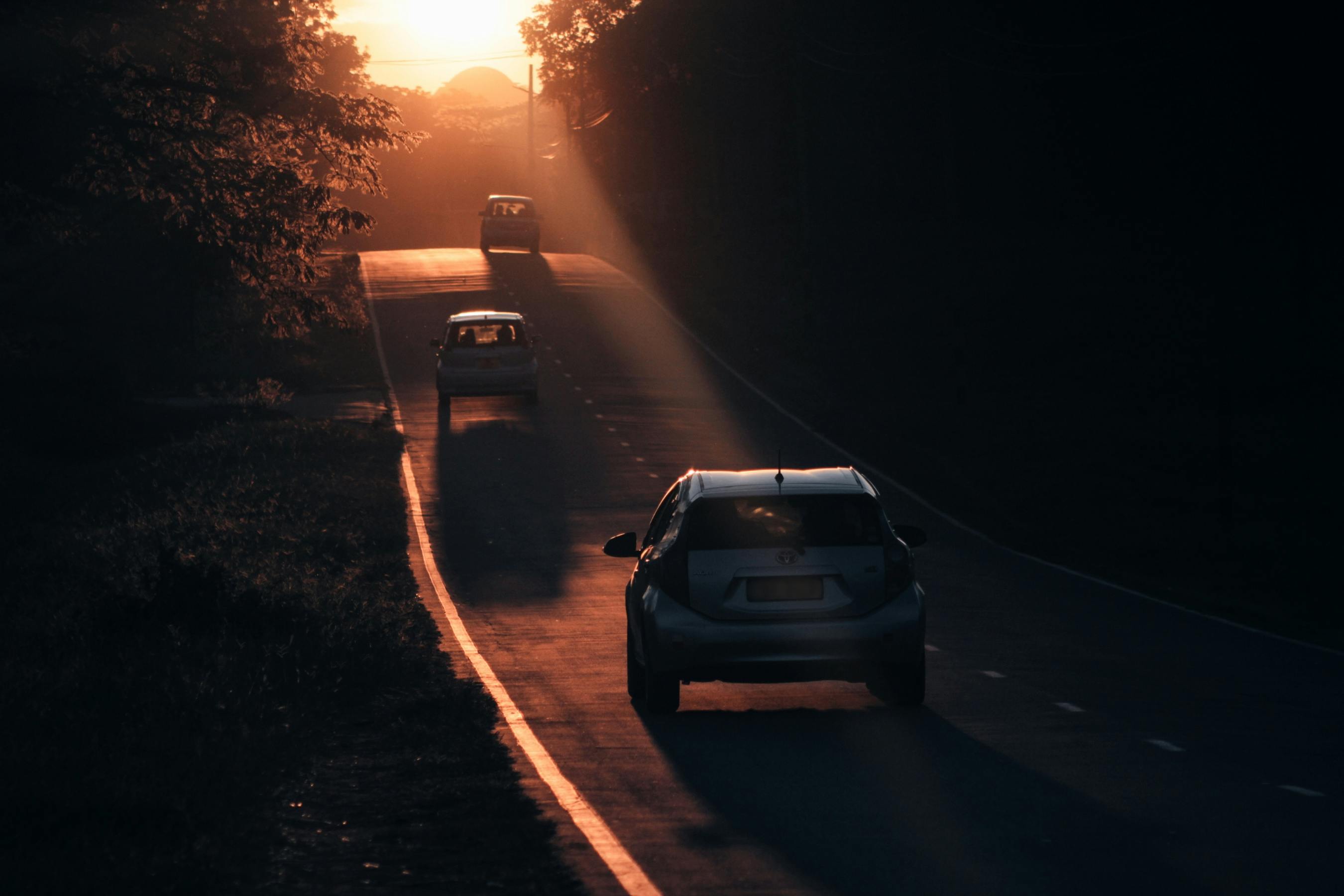 Toyota Recalls Prius Over Rear Doors That Can Open While Driving — Photo by Chimango Hara on Pexels
