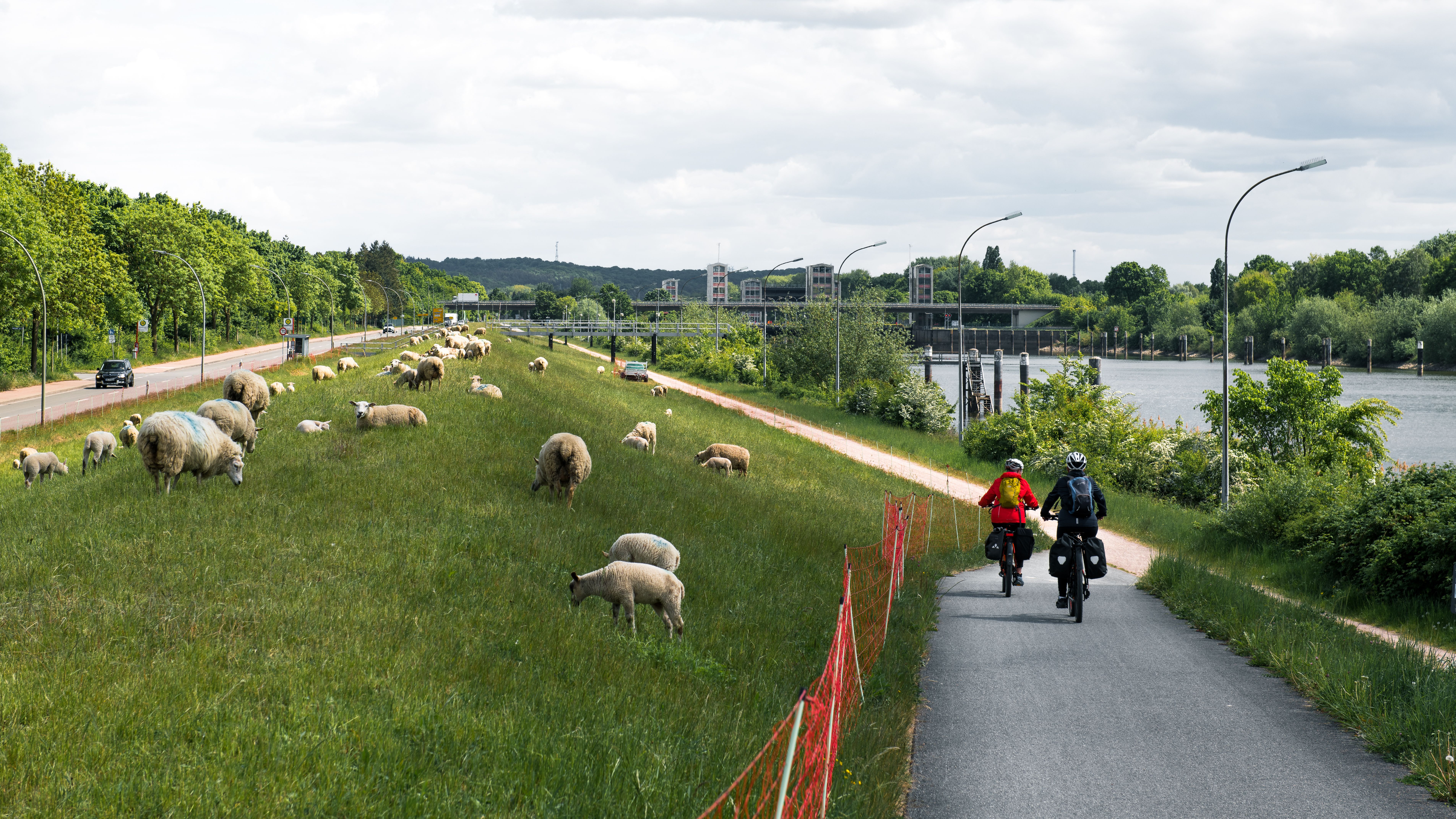 Radfahrer auf dem Deich