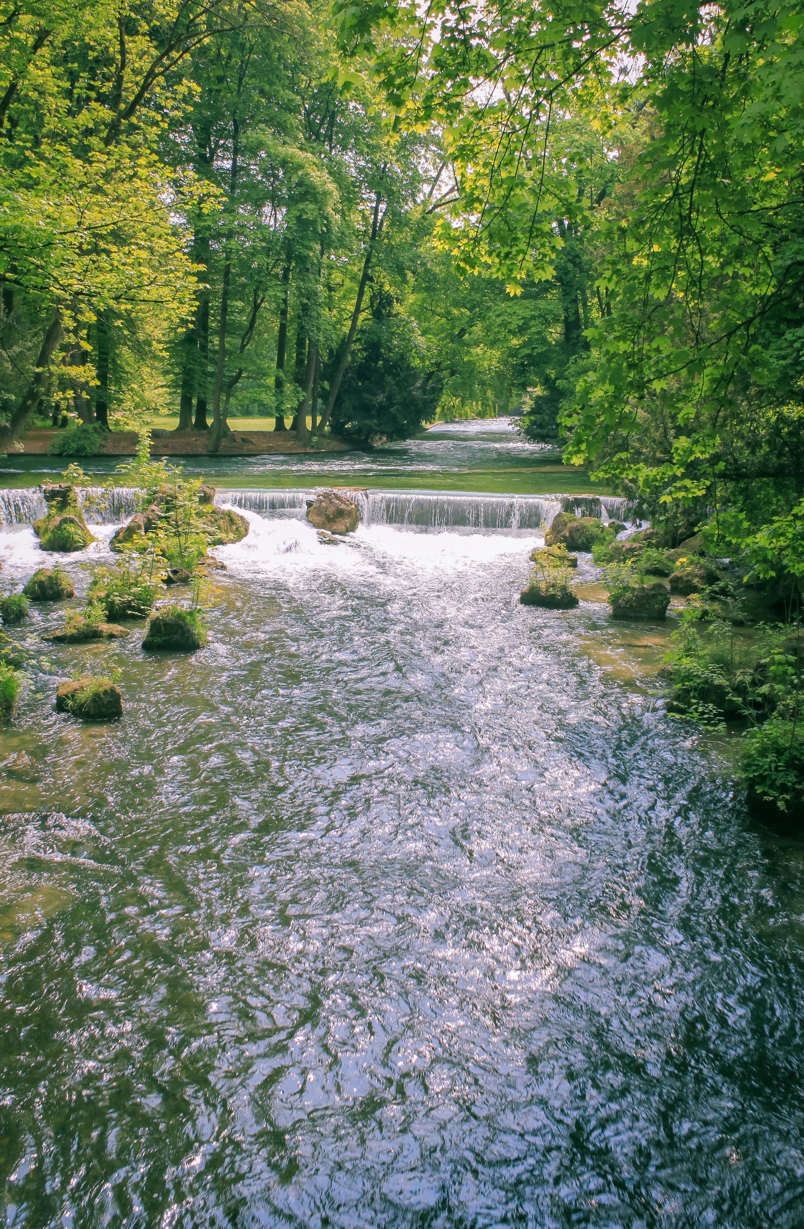 Free stock photo of beautiful, green, nature