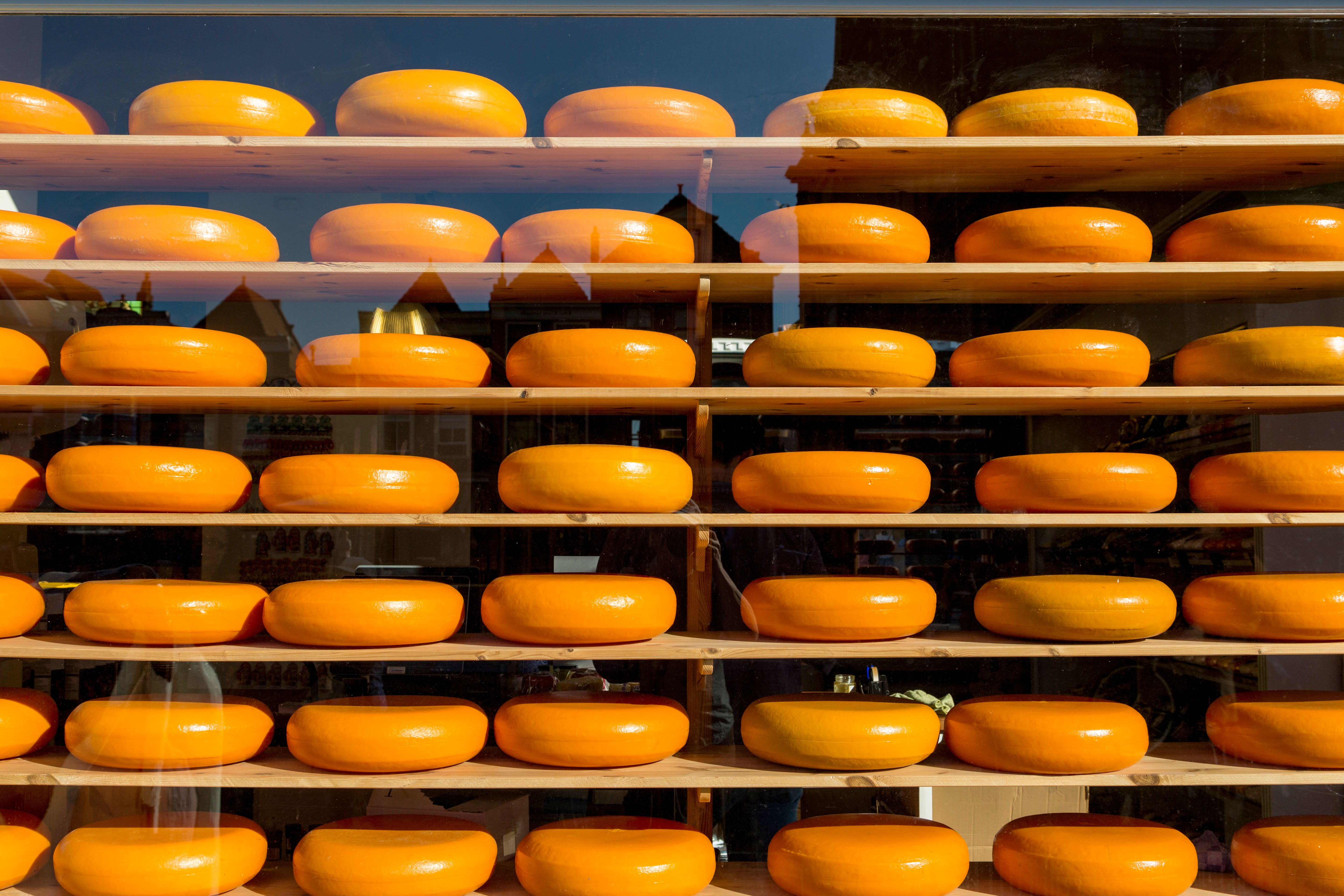 Gouda Cheese