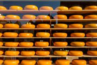 Multiple wheels of Gouda cheese displayed in a shop window with outdoor reflections.