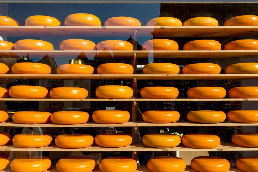 Rangées de meules de Gouda en vitrine