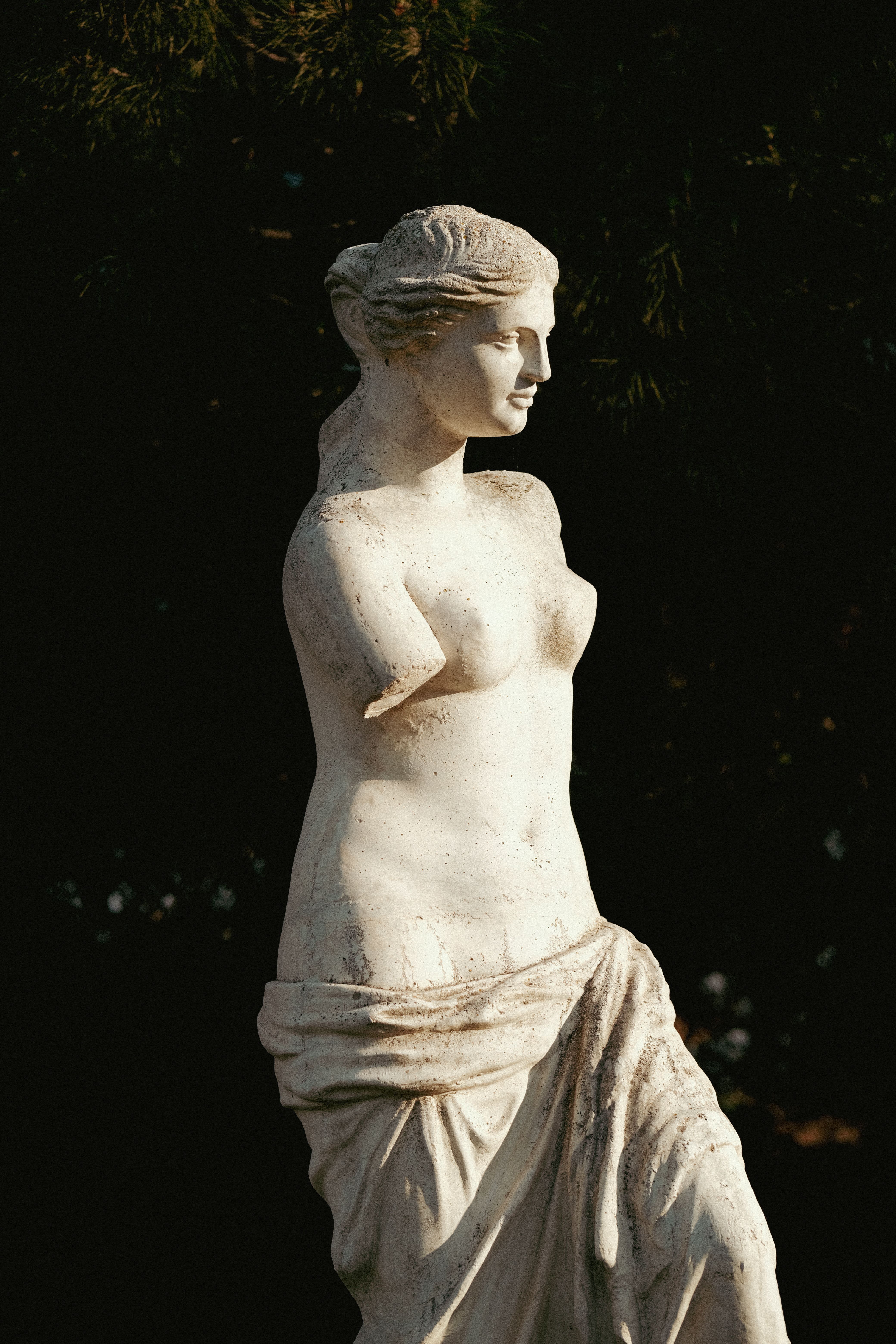 Elegant marble statue of Venus set outdoors, capturing classical beauty.