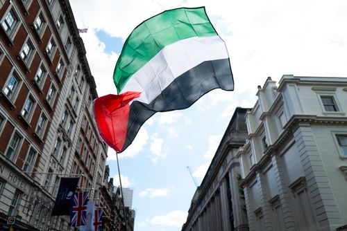Free Palestinian flag waving during a protest in London, England. Stock Photo