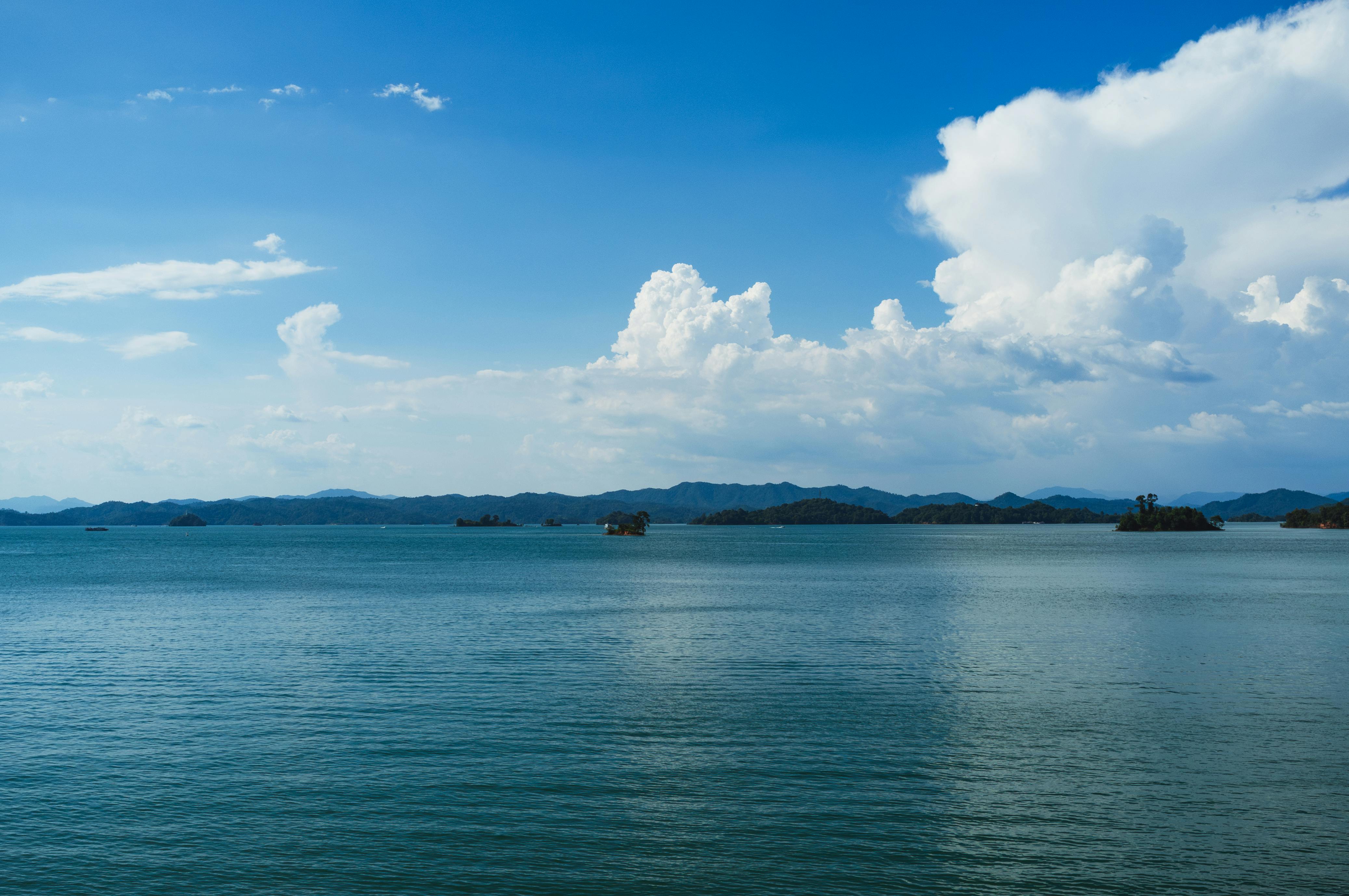 Pokémon Pokopia: Best Cloud Islands &amp; Developer Island Codes — Photo by Citrus M on Pexels