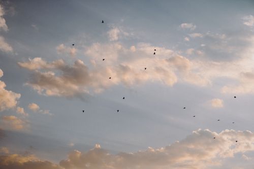 Free A serene sky with birds flying among fluffy clouds during sunset, creating a peaceful atmosphere. Stock Photo