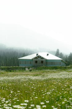 Beautiful house surrounded by misty mountains and blooming meadow flowers.