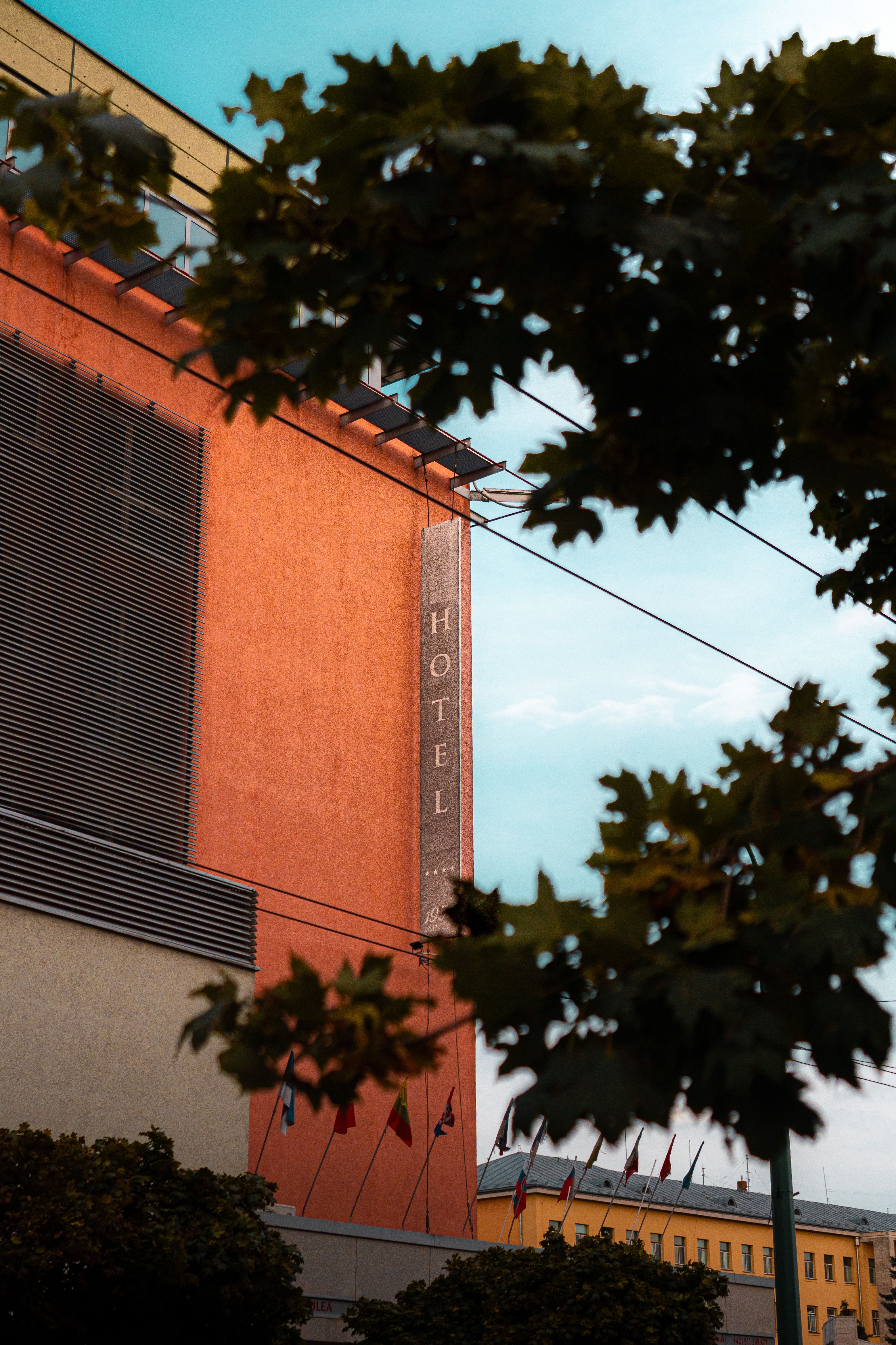 Hotel facade framed by trees against a modern city skyline under a clear sky