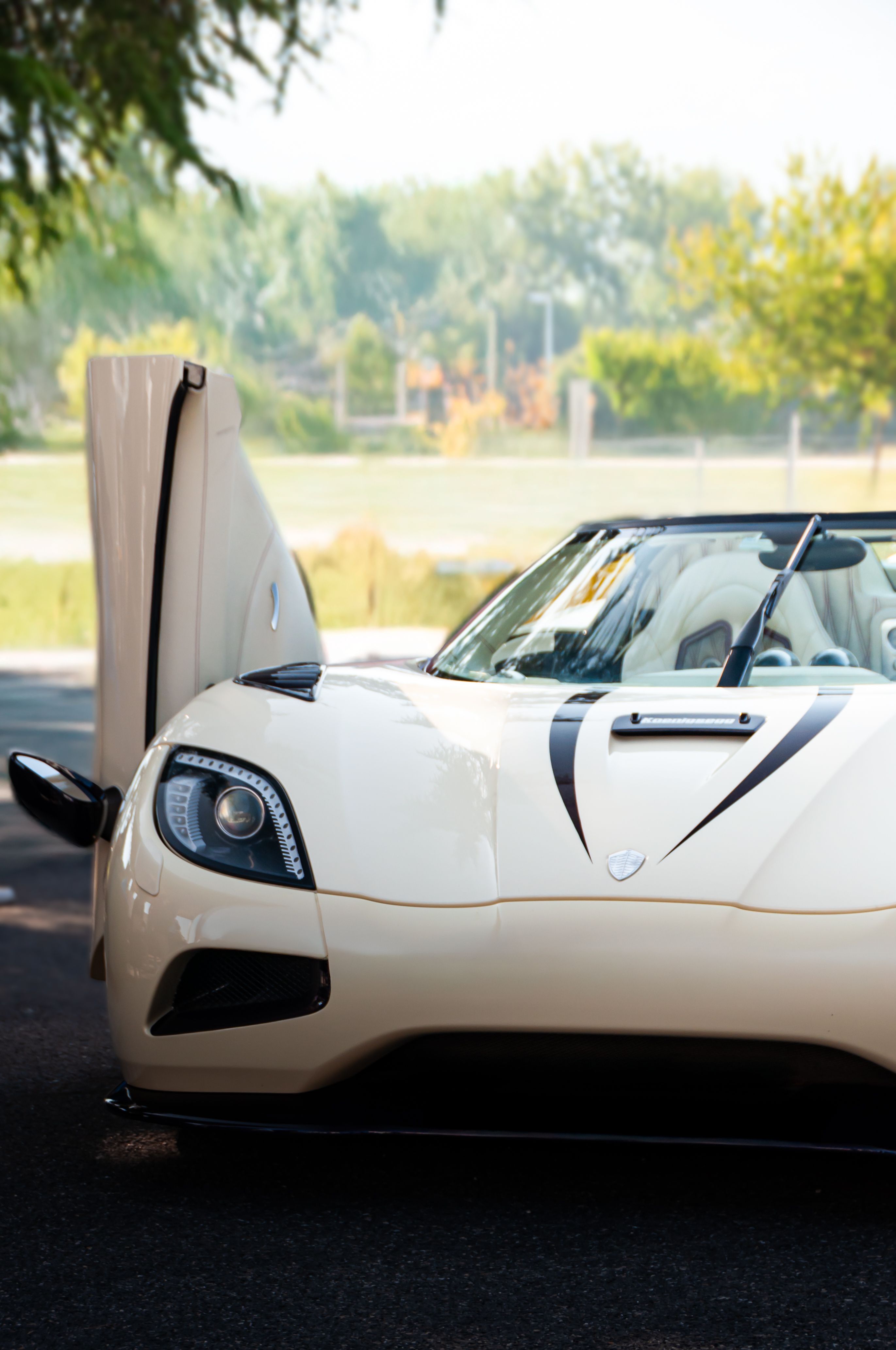 Luxury Convertible Hypercar in Natural Light · Free Stock Photo