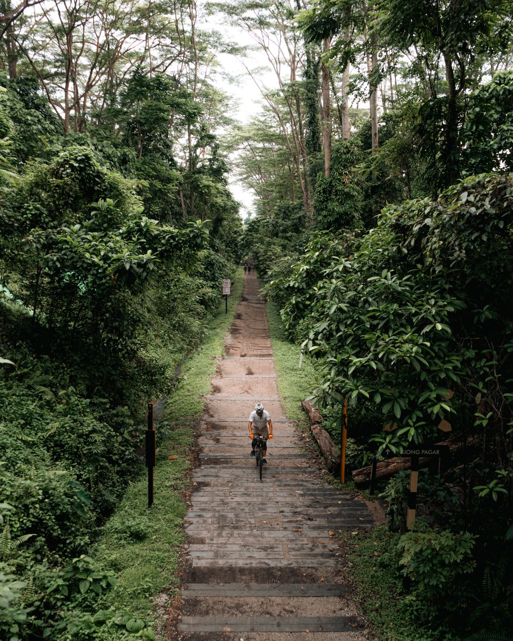 Een fietser reist door een groen bospad in Singapore en biedt een serene ontsnapping in de natuur.