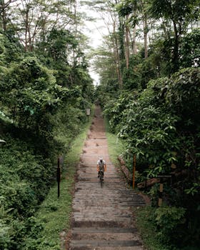 A cyclist travels through a green forest pathway in Singapore, offering a serene nature escape.
