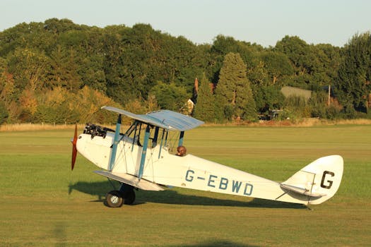 A historical biplane parked on a grassy airstrip against a lush green backdrop during sunset.