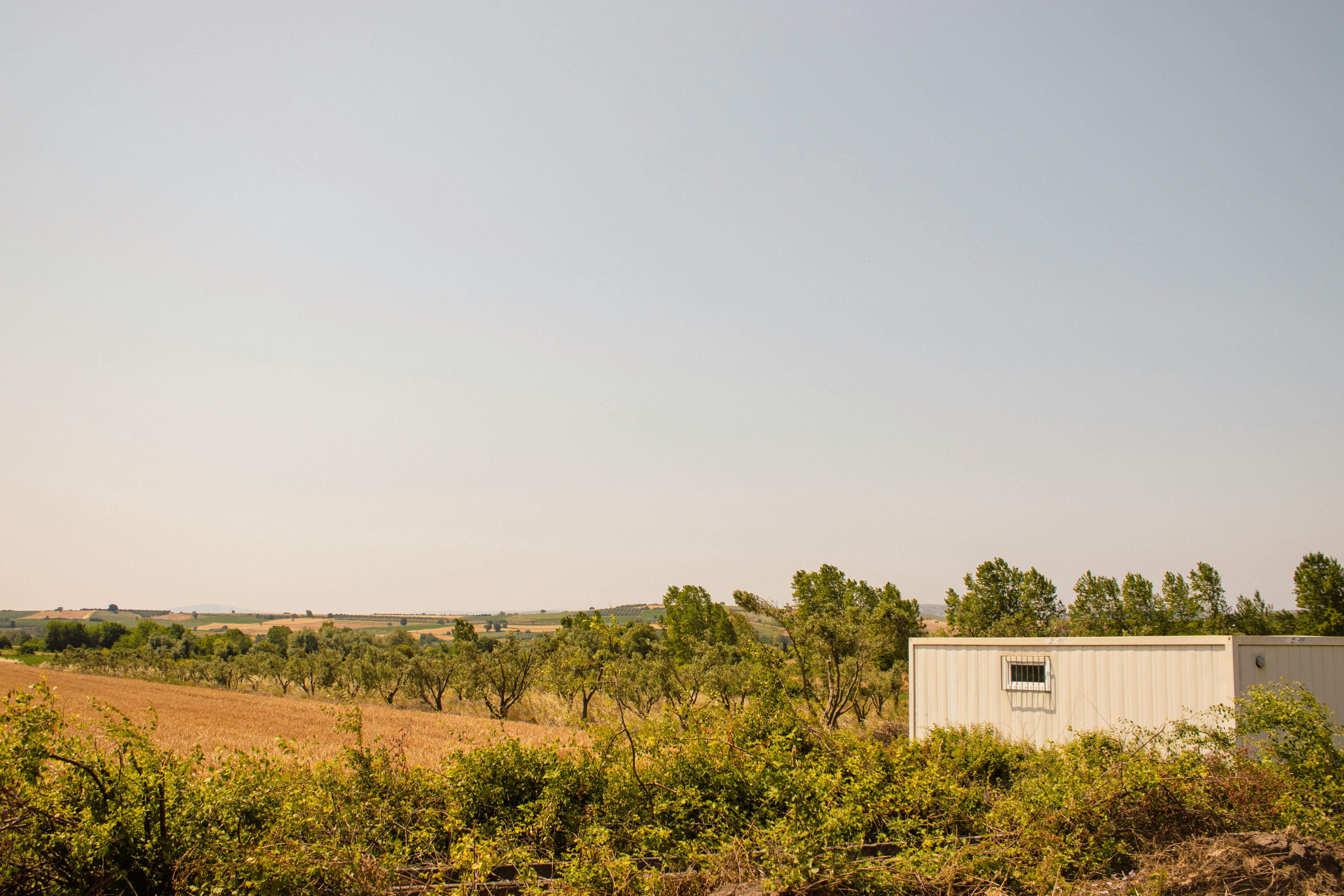 Container Queries: Desain Responsif Generasi Berikutnya