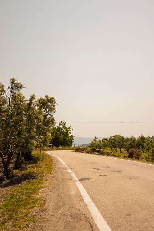 Free A serene rural road lined with trees and clear sky in Bursa, Türkiye. Stock Photo
