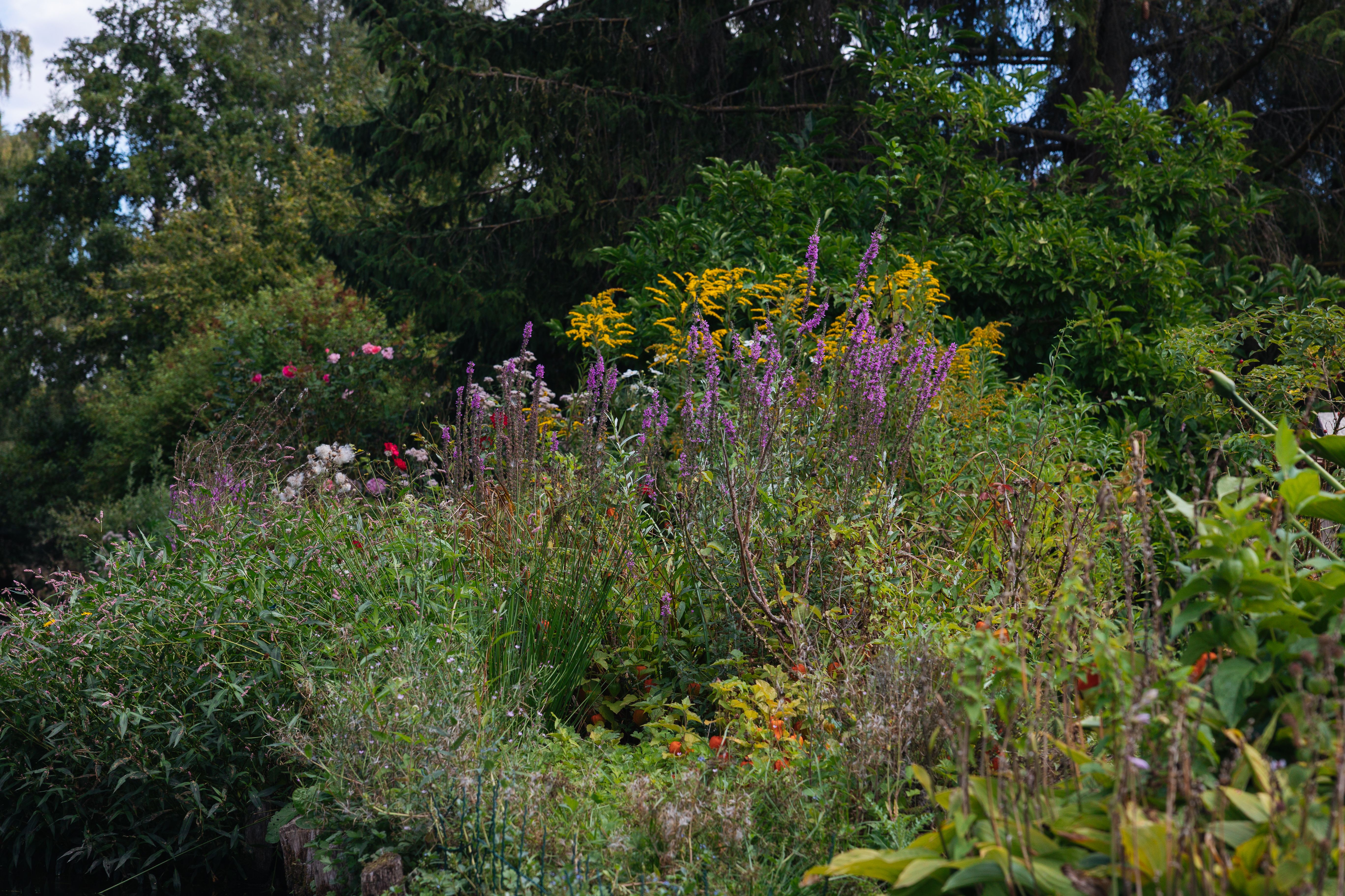 Bepflanzung mit verschiedenen Gartenpflanzen