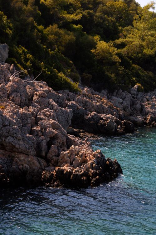 Free Rocky coastline with lush greenery and clear blue water under daylight. Stock Photo