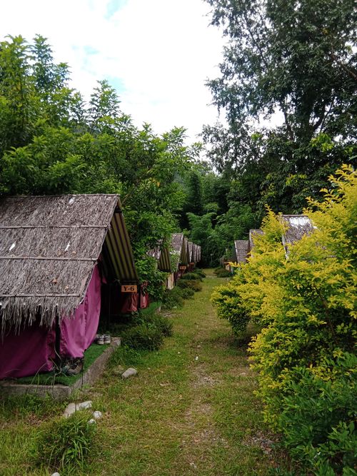 Free A row of rustic huts nestled in vibrant greenery, ideal for outdoor enthusiasts. Stock Photo