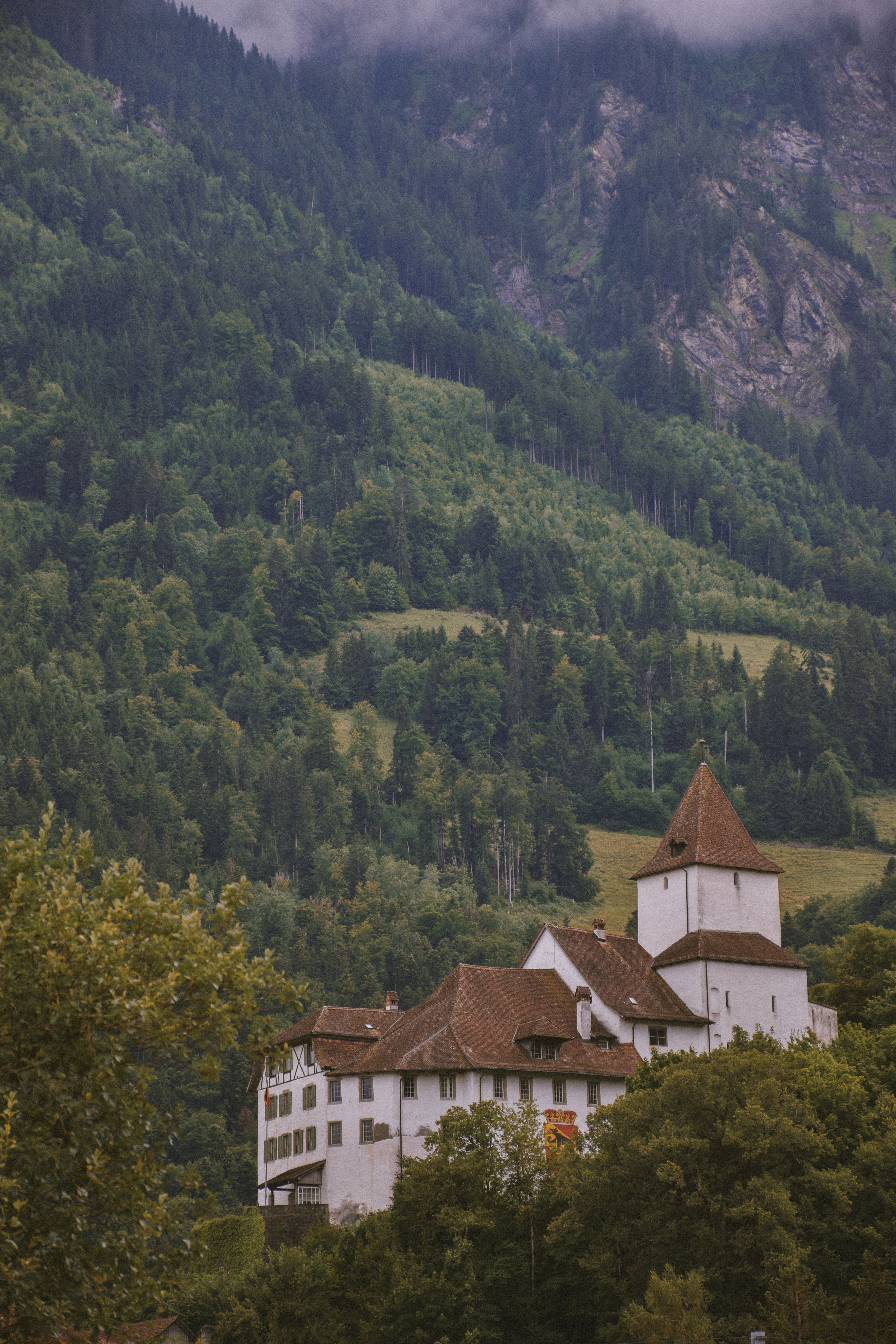White and Brown Castle on Mountain · Free Stock Photo