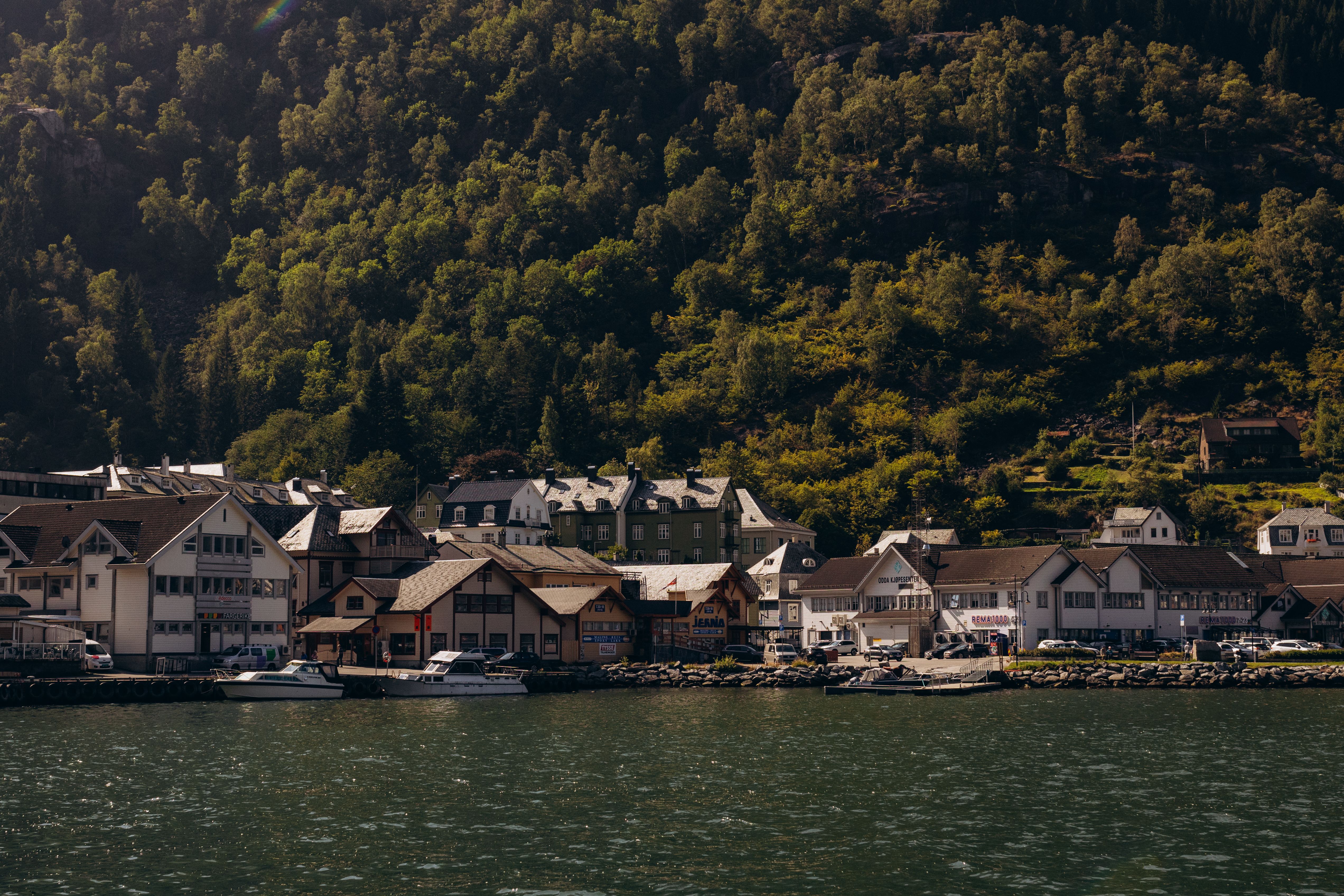 Scenic view of Bergen's waterfront houses against lush greenery in Norway.