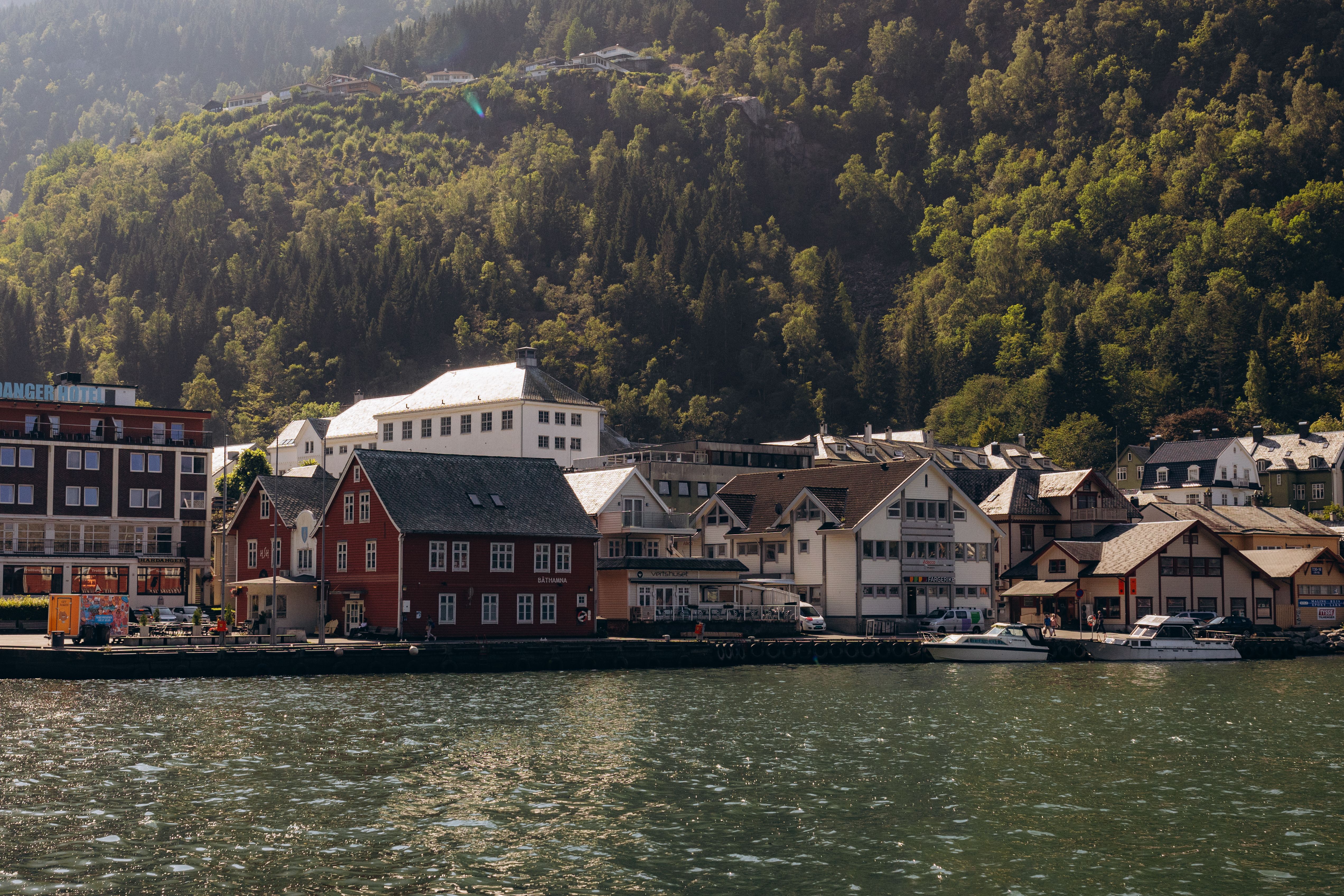 Foto: Jonathan Borba / Pexels