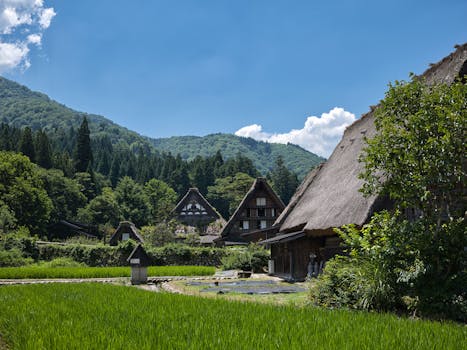 Scenic view of Gassho-Zukuri houses in Shirakawa's lush landscape.
