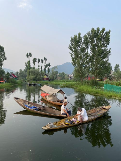Free Traditional shikaras float on serene Dal Lake in Srinagar, capturing local life and lush greenery. Stock Photo