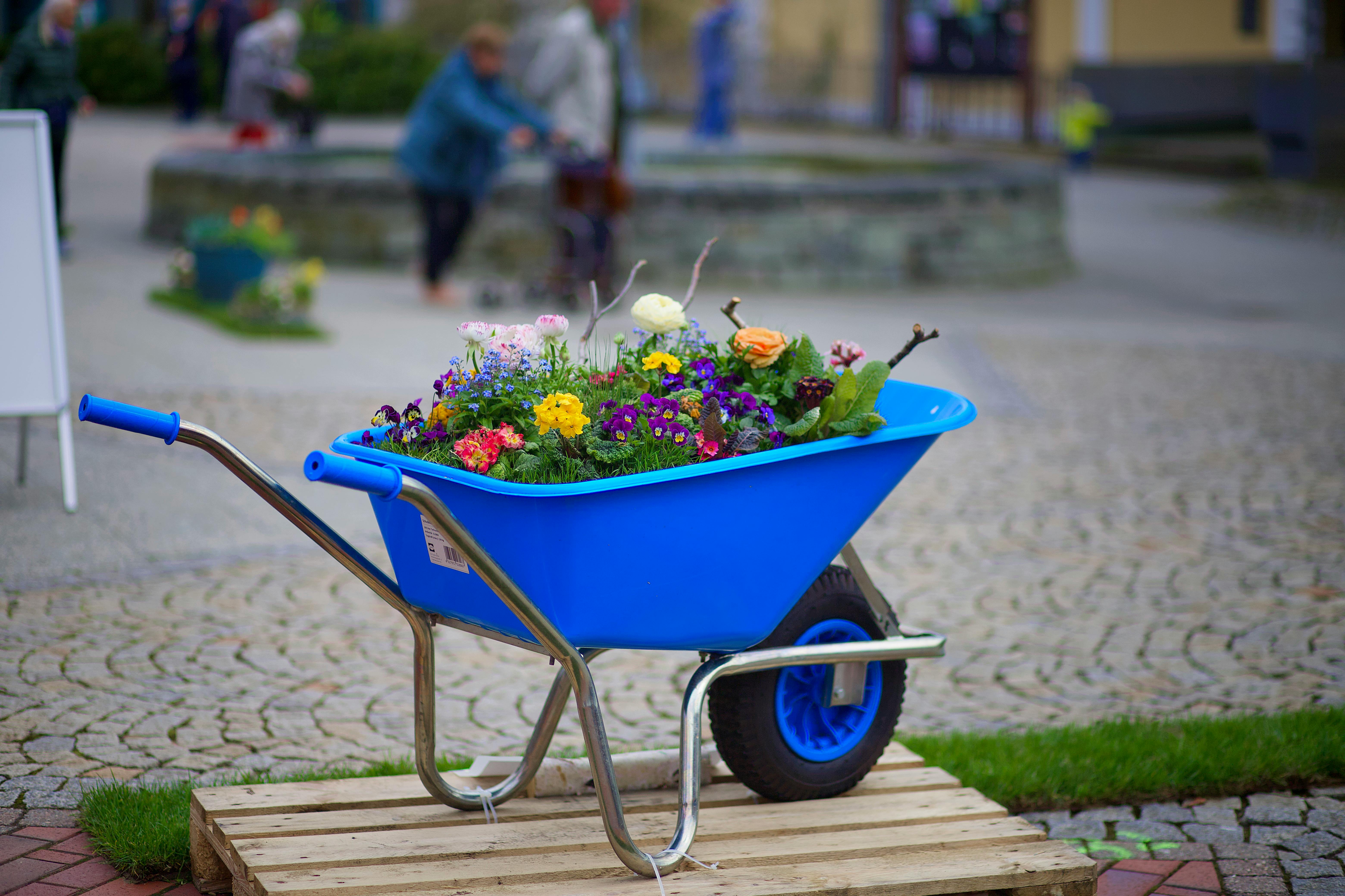 Viral Urban Gardening Ideas to Transform Small Spaces