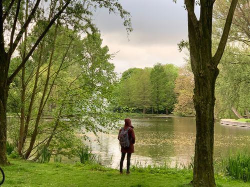 Free Person in red coat observes a serene lakeside view surrounded by lush greenery. Stock Photo