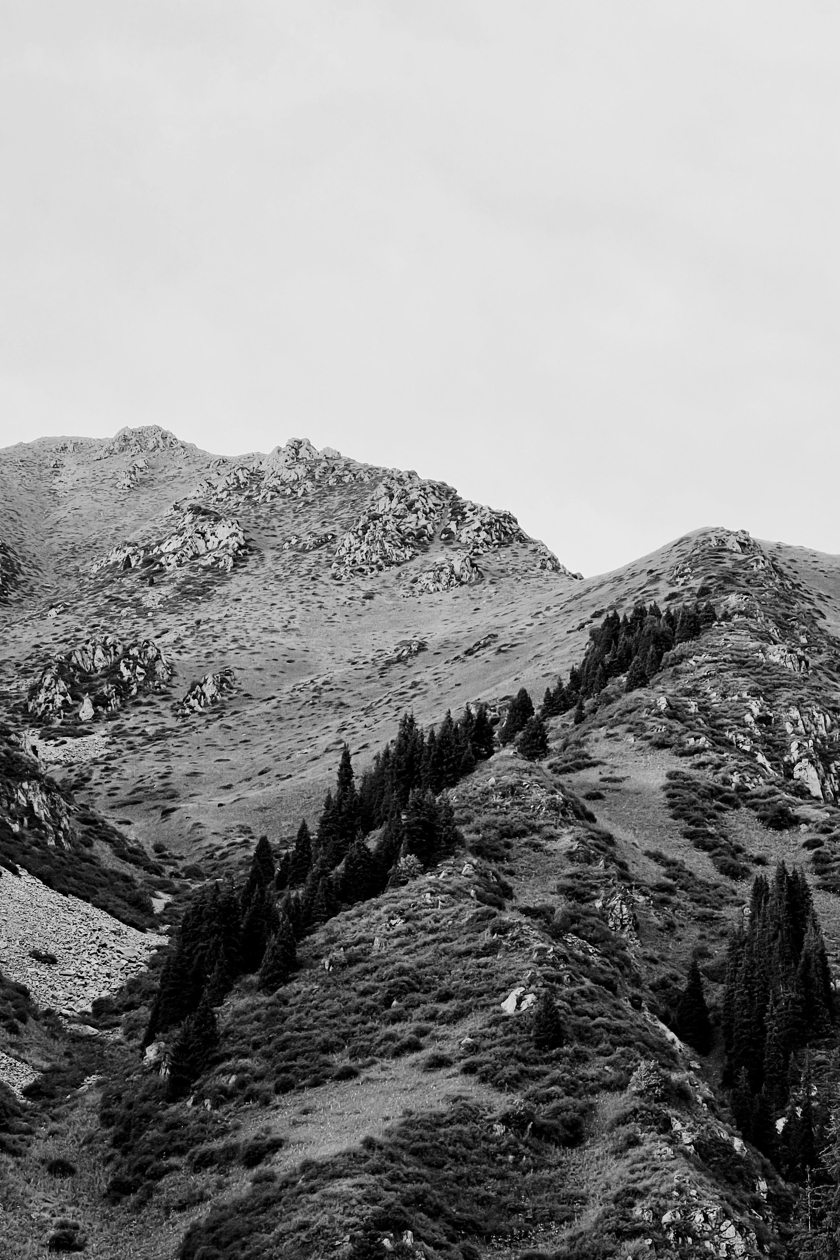 Stunning black and white photo of Alma-Arasan mountains in Almaty, Kazakhstan, highlighting natural beauty.