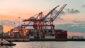 Container cranes at a port at sunset. Photo by thorl5 on Pexels.
