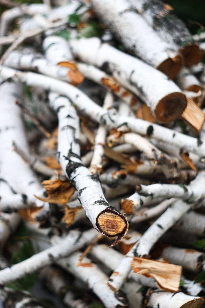gardener chopping plant material in border