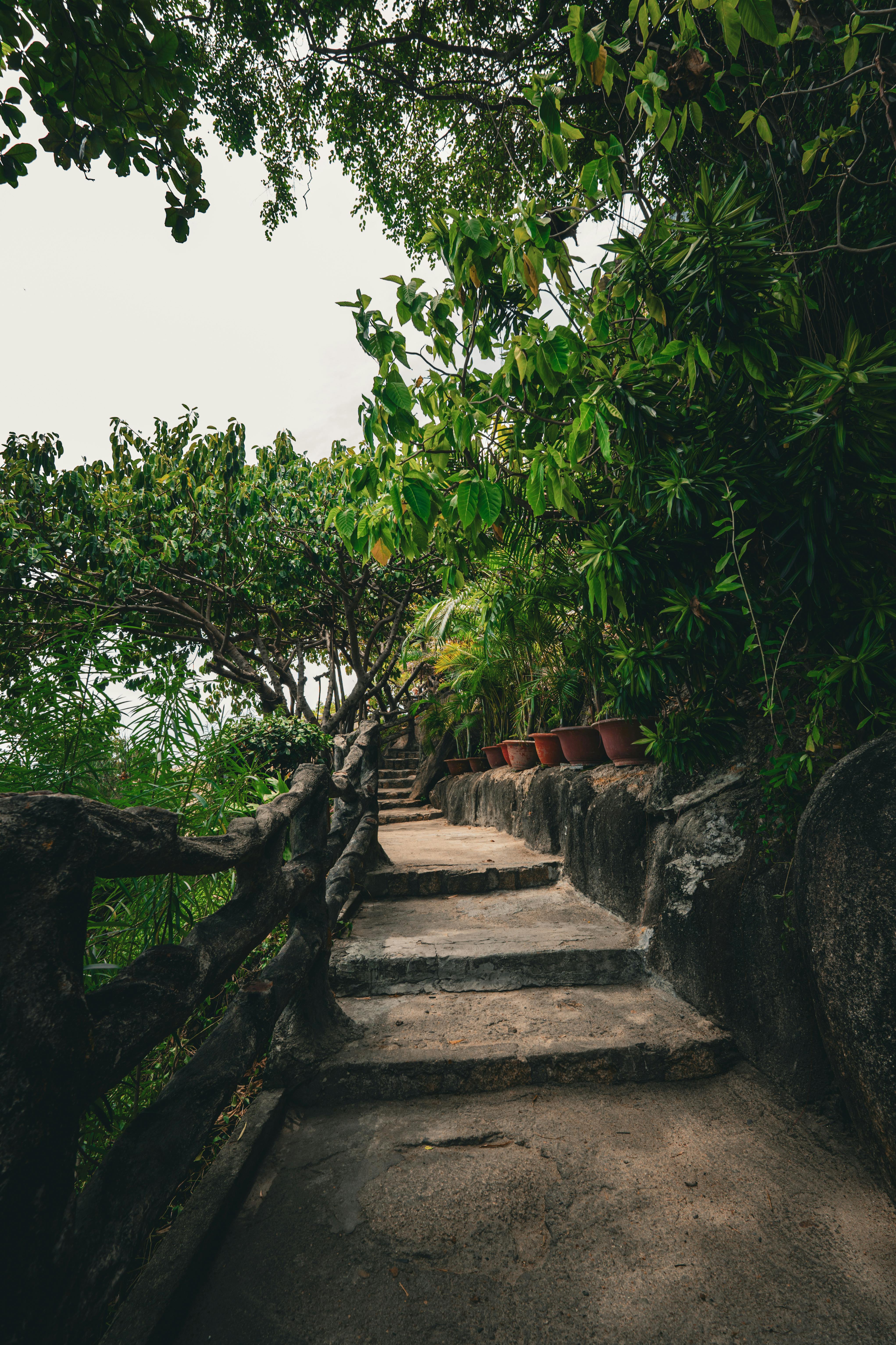 Why Choose Eco-Tourism in Vietnam?