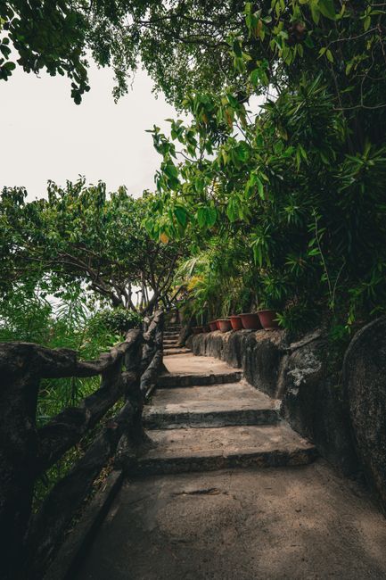 Why Choose Eco-Tourism in Vietnam? Why Choose Eco-Tourism in Vietnam?