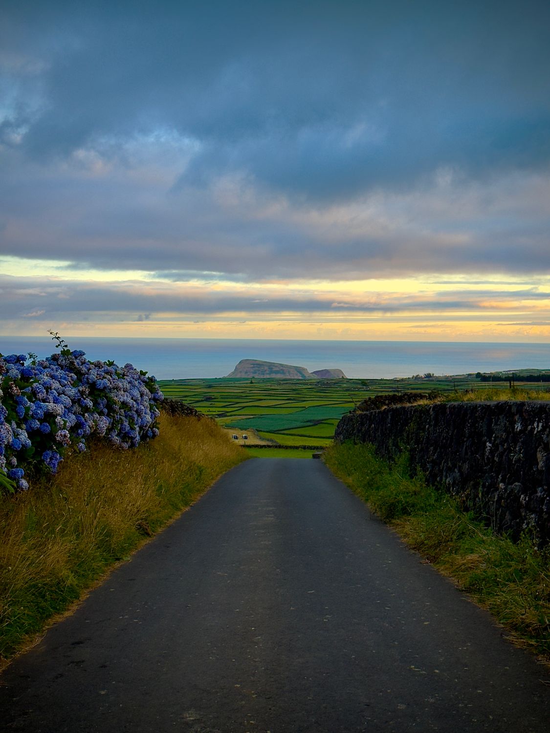 Scenic Azores road lined with blue hydrangea flowers stretching toward green fields and distant ocean