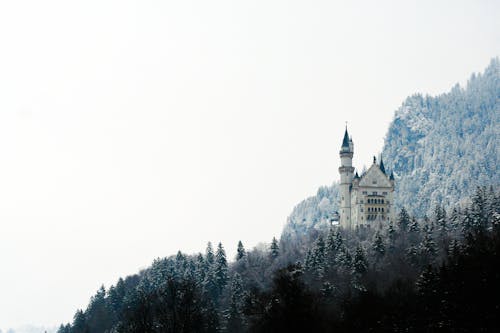 Free Neuschwanstein Castle Stock Photo