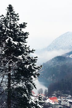在雾蒙蒙的冬日天空下，一个风景如画、白雪皑皑的村庄坐落在雄伟的德国山脉上