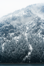 冬季的山地宁静如画，白雪覆盖着树木，雾气缭绕