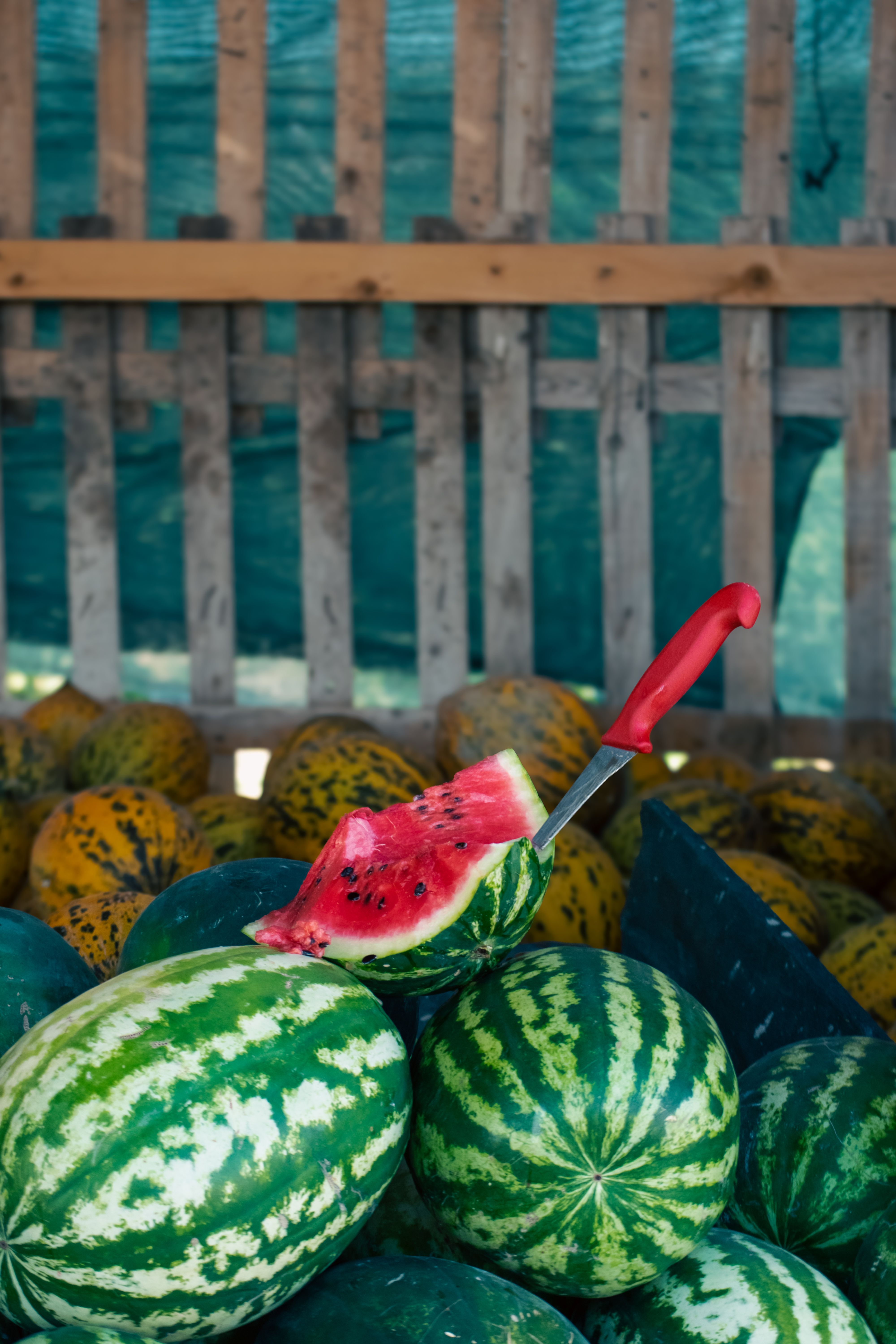 Fresh Cut Watermelon at Farmers Market · Free Stock Photo