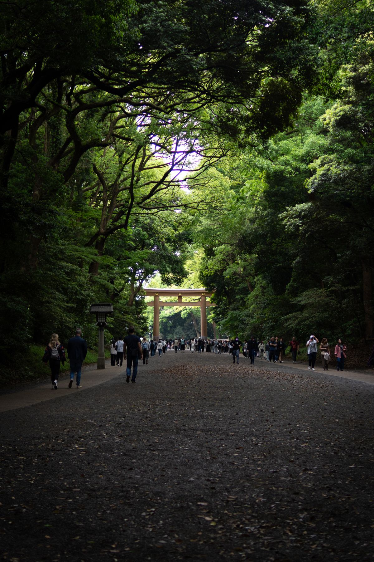 Private guided tour in Ise, Japan
