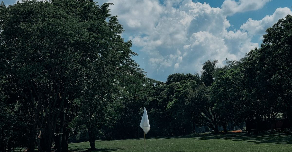 Photo by Chimango Hara Tranquil golf course with trees and a flag under a blue sky with clouds.