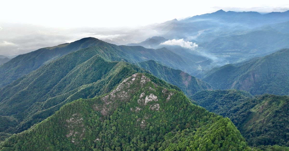 La relevancia ambiental de los parques nacionales más extensos en Honduras La relevancia ambiental de los parques nacionales más extensos en Honduras