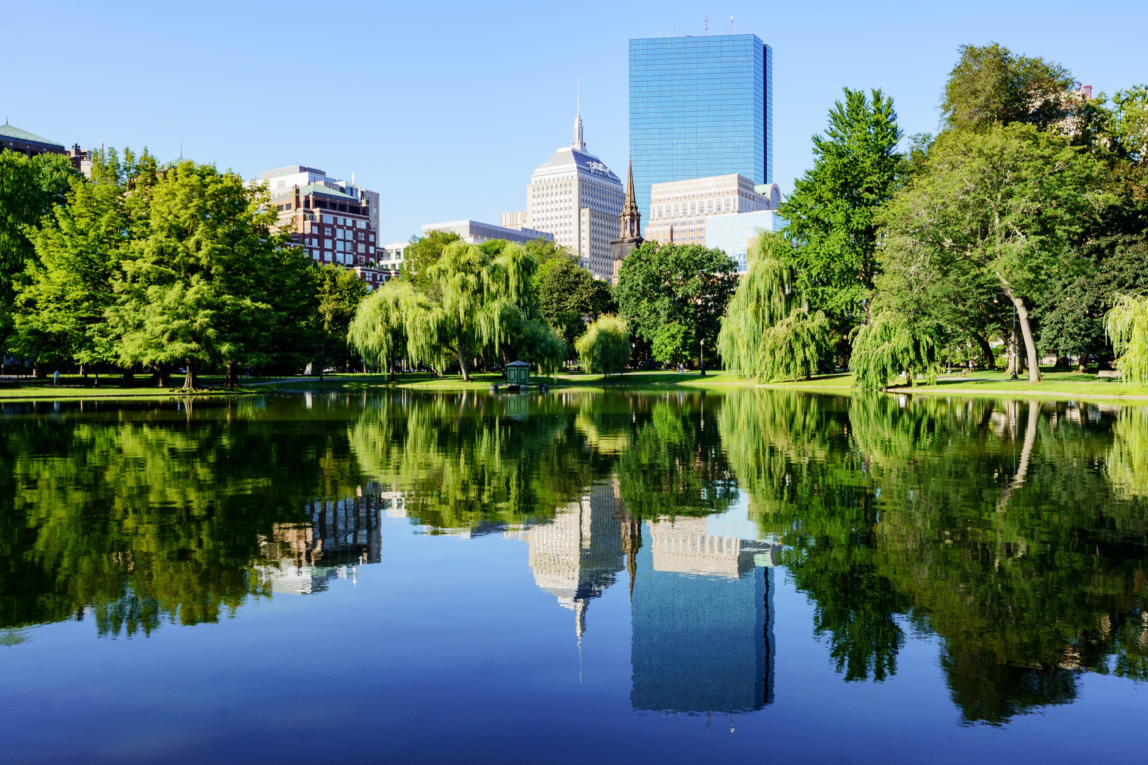 Gratis Udsigt over Boston Public Garden med byens skyline spejlet i dammen på en solskinsdag. Lagerfoto
