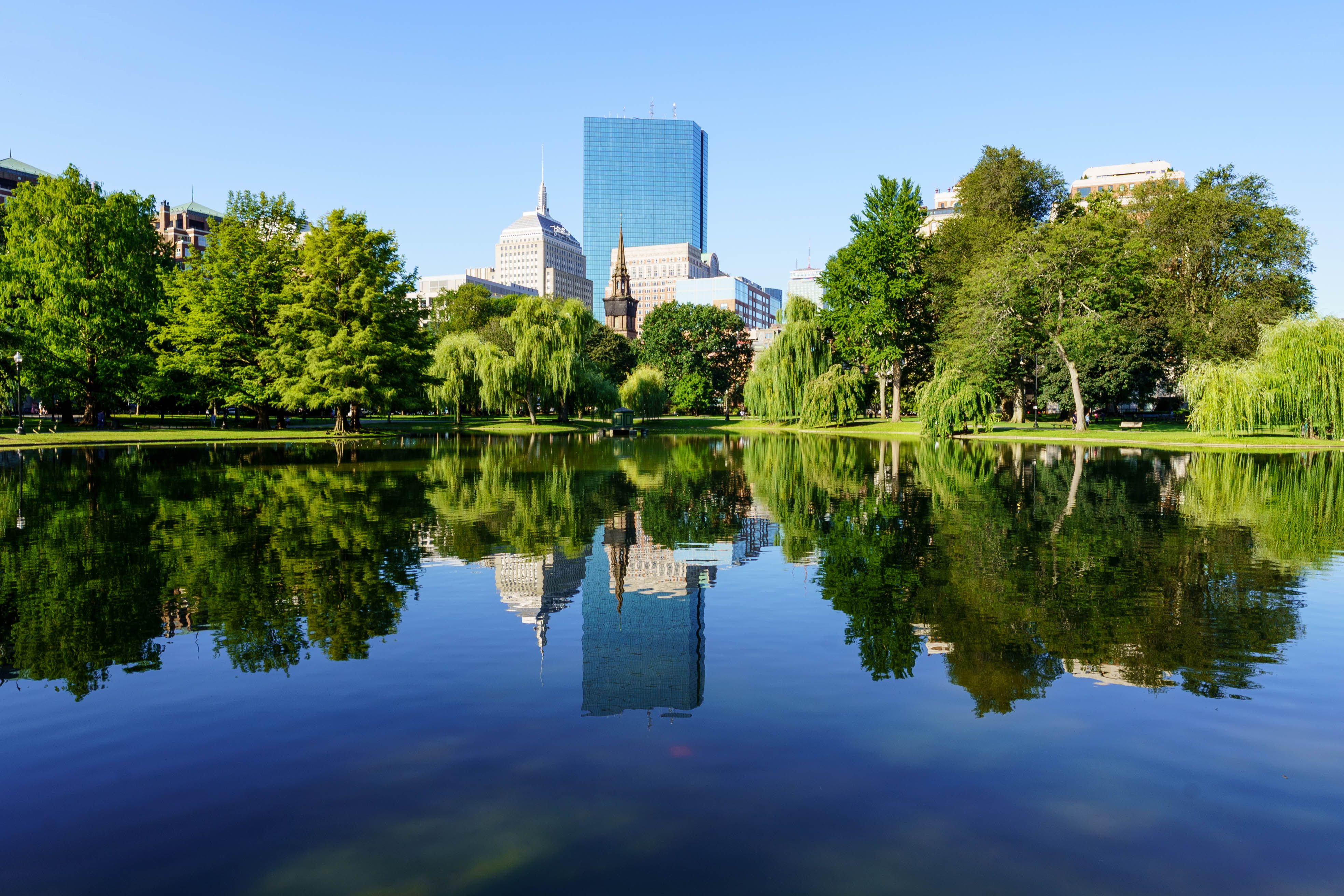 Gratis Naturskøn udsigt over Boston Public Garden med refleksioner over byens skyline på en klar sommerdag. Lagerfoto