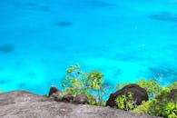 热带海岸线上，壮丽的景色、充满活力的蓝色海水和郁郁葱葱的绿色植被交相辉映