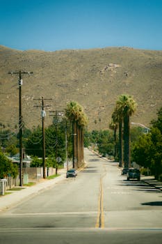 A quiet street in California lined with palm trees and mountains under a clear blue sky.