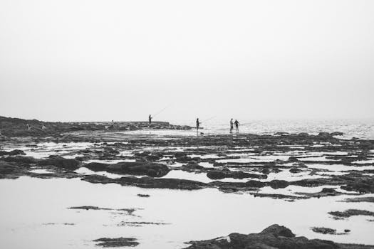 Silhouettes of people fishing on the rocky coast of Rabat, Morocco, in a serene black and white scene.