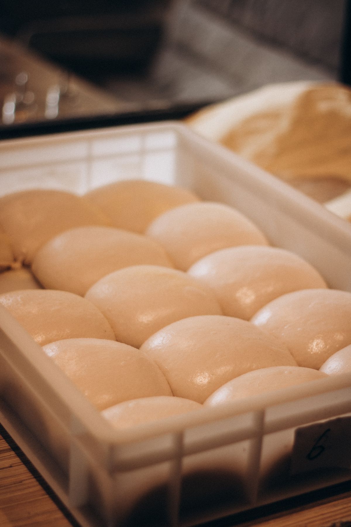 Bolinhas de massa de pizza descansando, fermentação