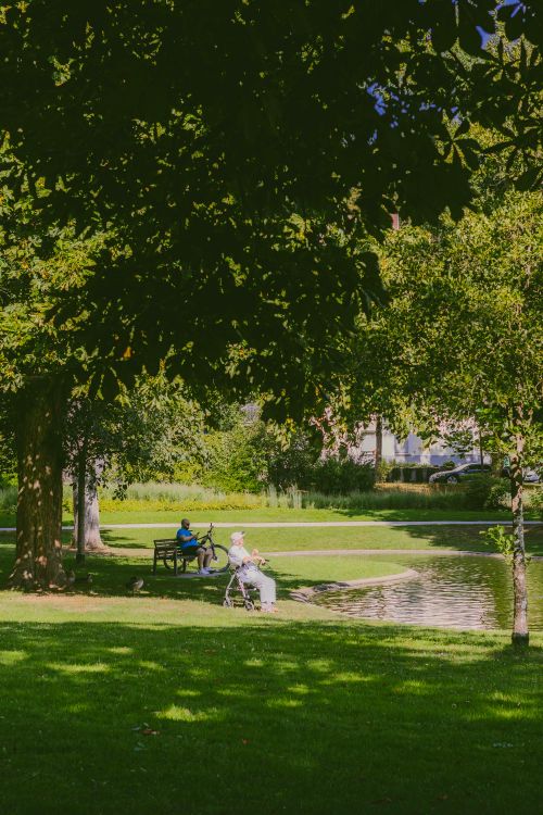 Free Serene summer day in Kassel, Germany park with people enjoying the outdoors by a pond. Stock Photo