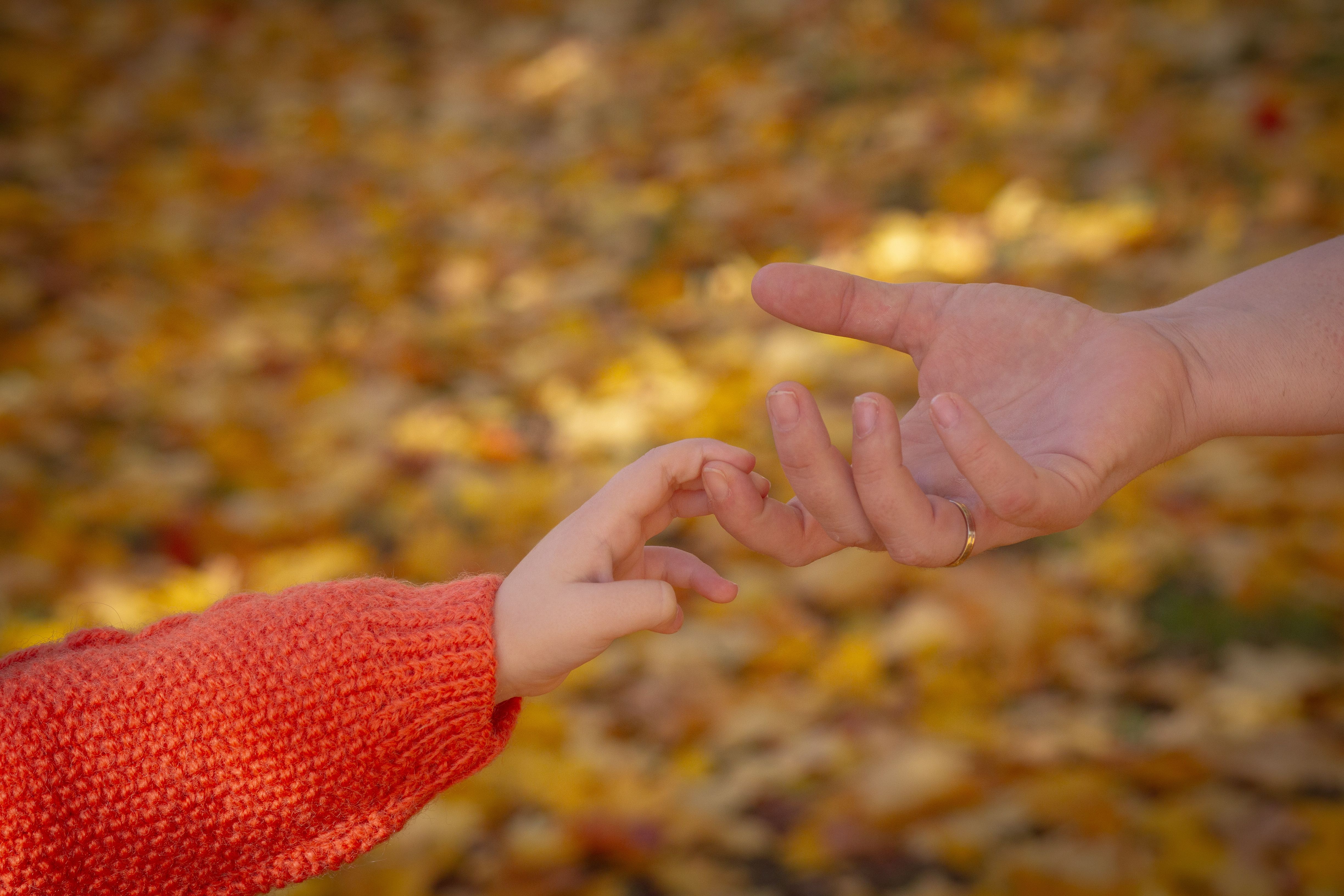 Why Doesn’t the U.S. Have a Paid Family Leave Policy? — Photo by olga Volkovitskaia on Pexels