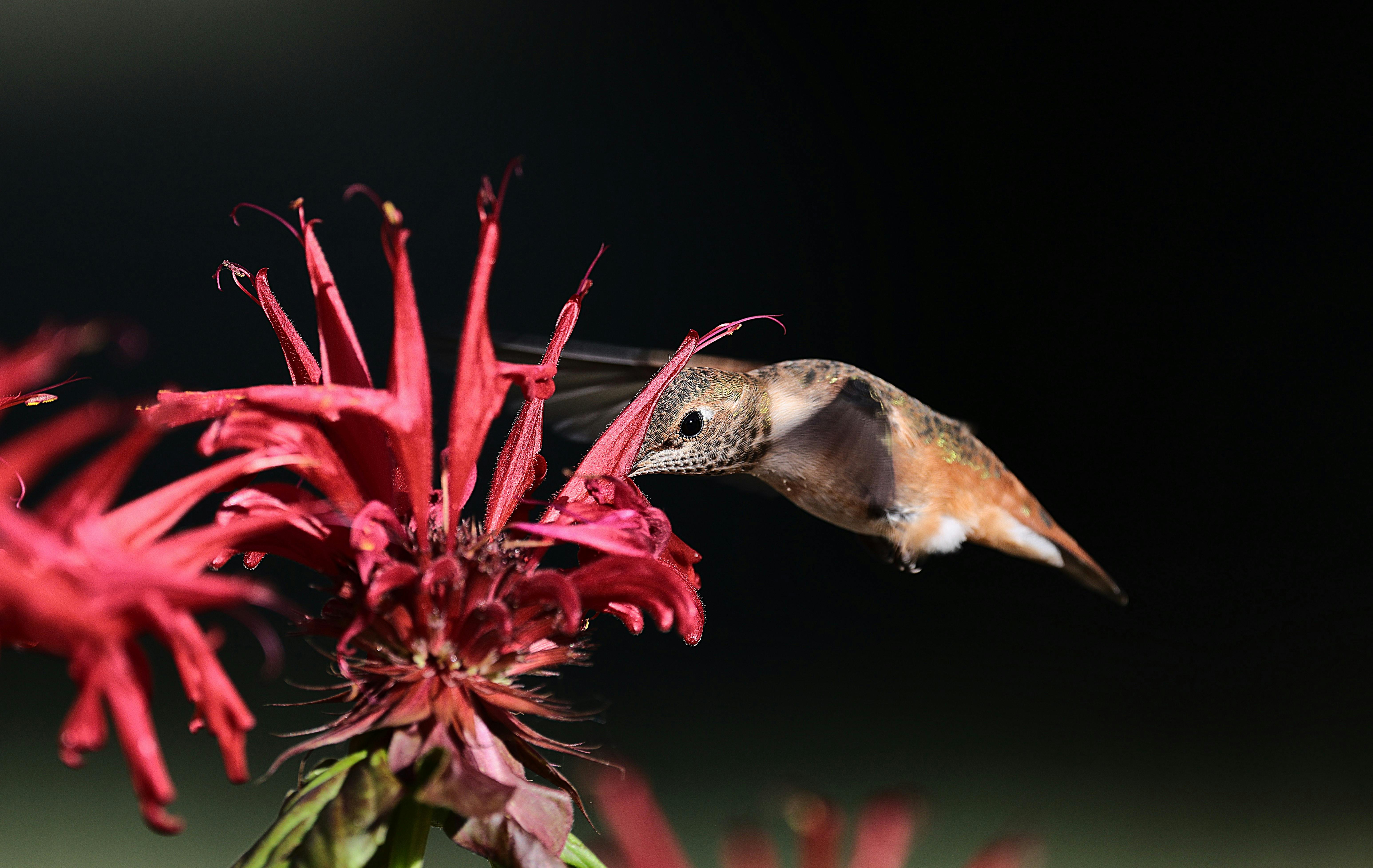 Balancing Career Success and Personal Fulfillment for a Happier Life